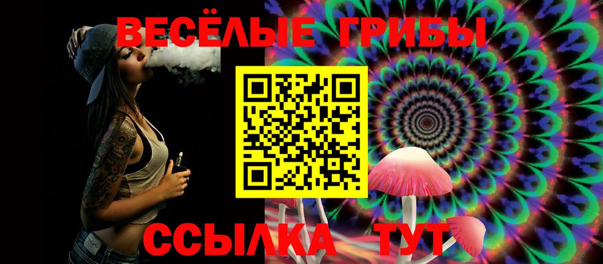 купить наркотик  Вход с VPN  Похвистнево  Галлюциногенные грибы ЛСД  Галлюциногенные грибы ЛСД 